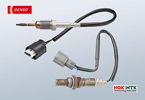 Temperature sensor/oxygen sensor